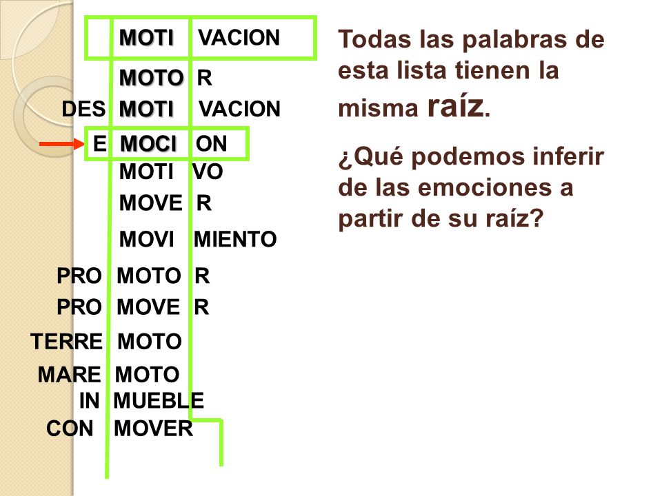 Todas las palabras de esta lista tienen la misma raíz.
