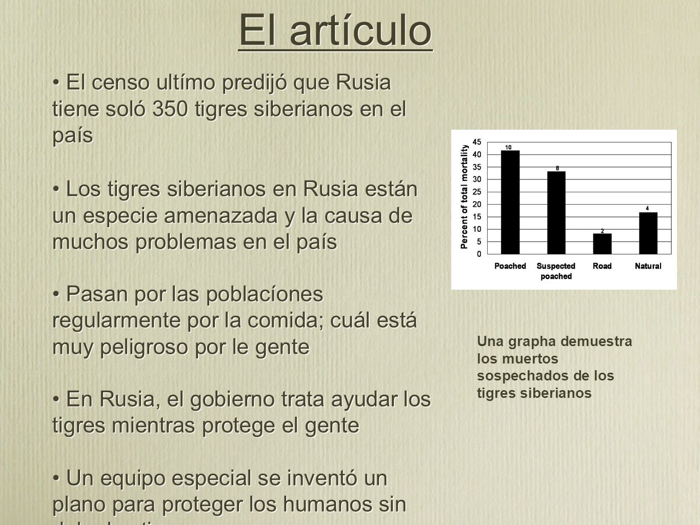 El artículo • El censo ultímo predijó que Rusia tiene soló 350 tigres siberianos en el país.