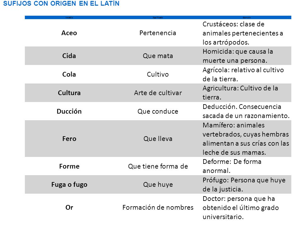 Aceo Cida Cola Cultura Ducción Fero Forme Fuga o fugo Or