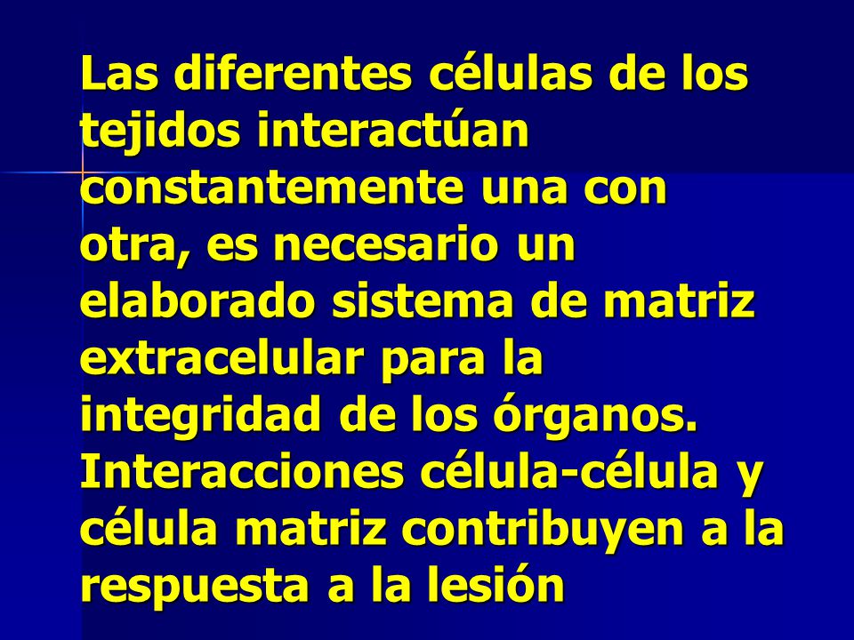 Las diferentes células de los tejidos interactúan constantemente una con otra, es necesario un elaborado sistema de matriz extracelular para la integridad de los órganos.