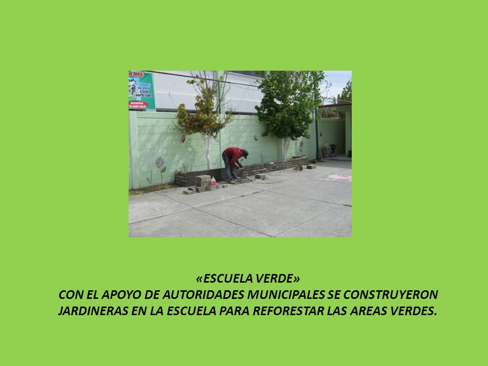 «ESCUELA VERDE» CON EL APOYO DE AUTORIDADES MUNICIPALES SE CONSTRUYERON JARDINERAS EN LA ESCUELA PARA REFORESTAR LAS AREAS VERDES.