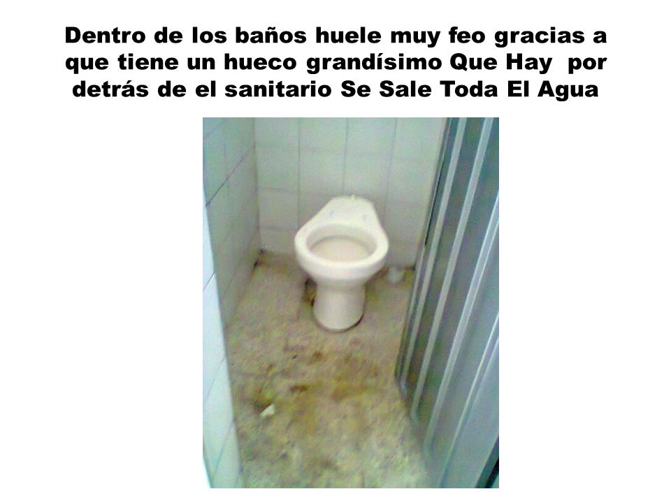 Dentro de los baños huele muy feo gracias a que tiene un hueco grandísimo Que Hay por detrás de el sanitario Se Sale Toda El Agua