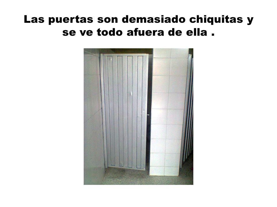 Las puertas son demasiado chiquitas y se ve todo afuera de ella .