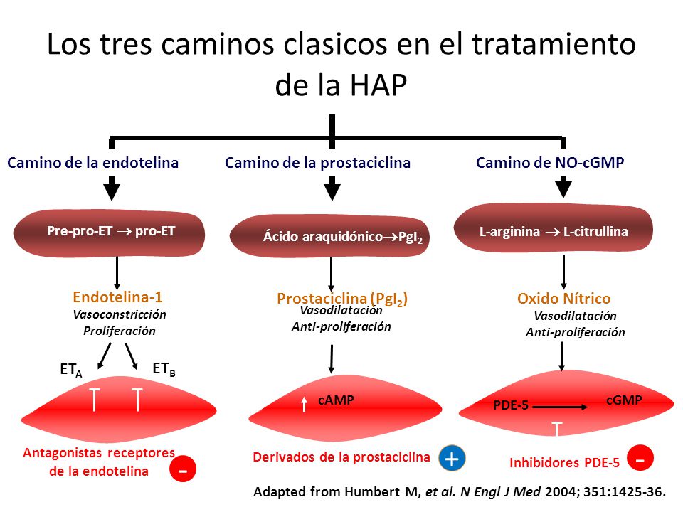 Los tres caminos clasicos en el tratamiento de la HAP