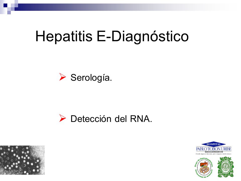 Hepatitis E-Diagnóstico