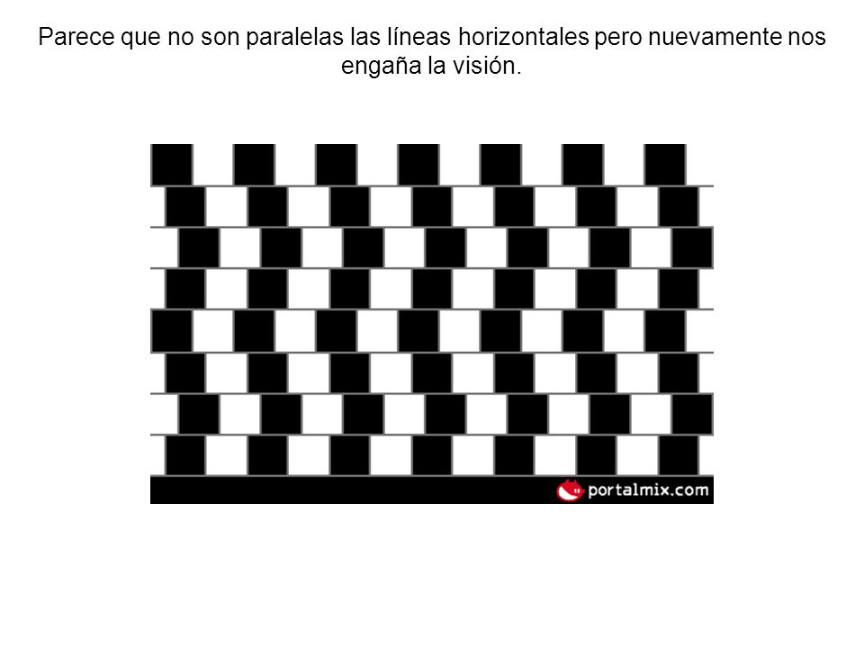 Parece que no son paralelas las líneas horizontales pero nuevamente nos engaña la visión.