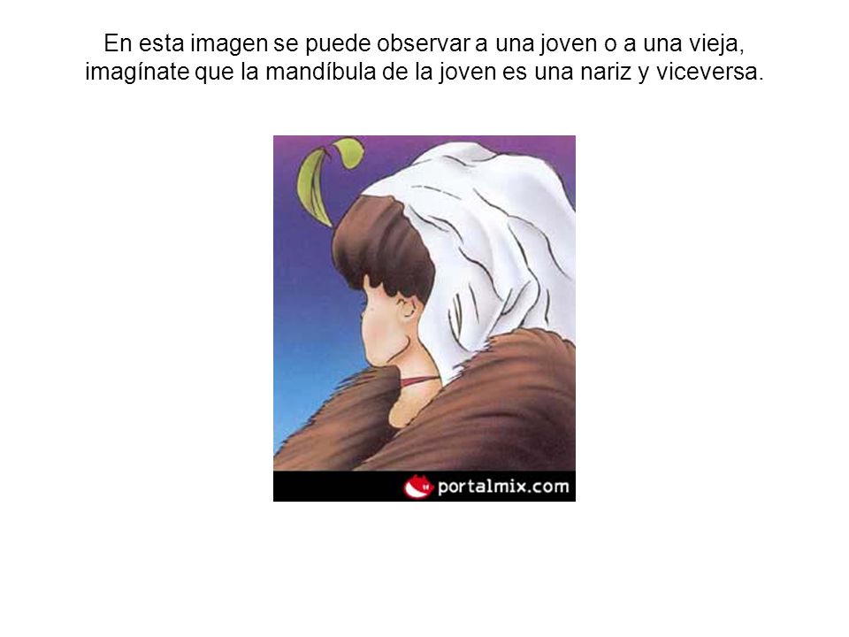 En esta imagen se puede observar a una joven o a una vieja, imagínate que la mandíbula de la joven es una nariz y viceversa.