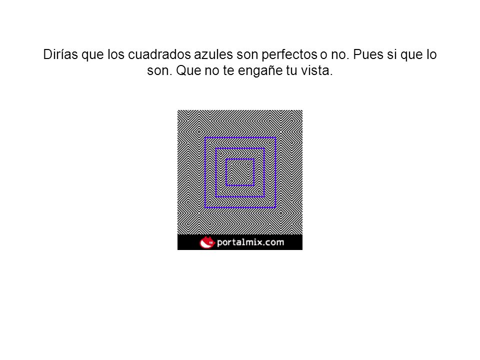 Dirías que los cuadrados azules son perfectos o no. Pues si que lo son