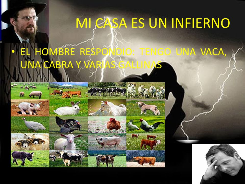 MI CASA ES UN INFIERNO EL HOMBRE RESPONDIO: TENGO UNA VACA, UNA CABRA Y VARIAS GALLINAS