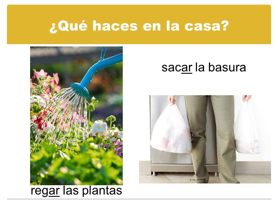 ¿Qué haces en la casa sacar la basura regar las plantas
