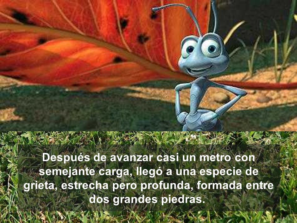 Después de avanzar casi un metro con semejante carga, llegó a una especie de grieta, estrecha pero profunda, formada entre dos grandes piedras.