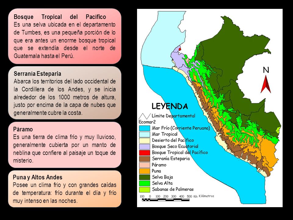 Bosque Tropical del Pacífico Es una selva ubicada en el departamento de Tumbes, es una pequeña porción de lo que era antes un enorme bosque tropical que se extendía desde el norte de Guatemala hasta el Perú.