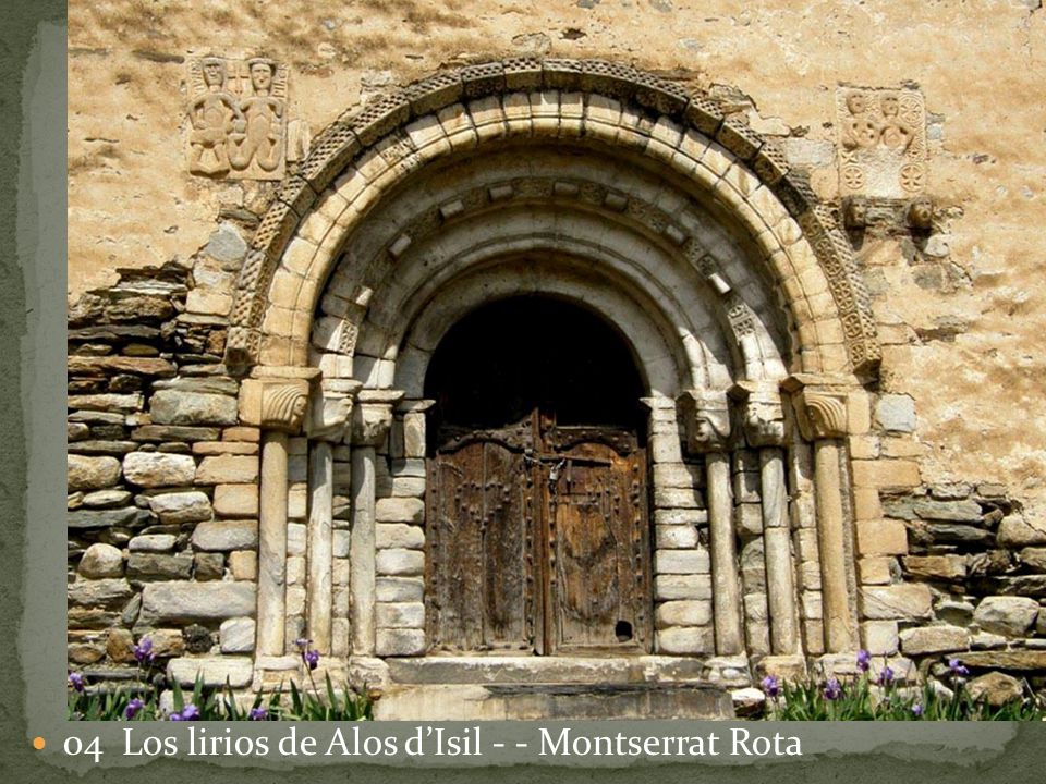 04 Los lirios de Alos d’Isil - - Montserrat Rota