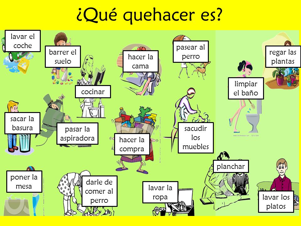 ¿Qué quehacer es lavar el coche pasear al perro barrer el suelo