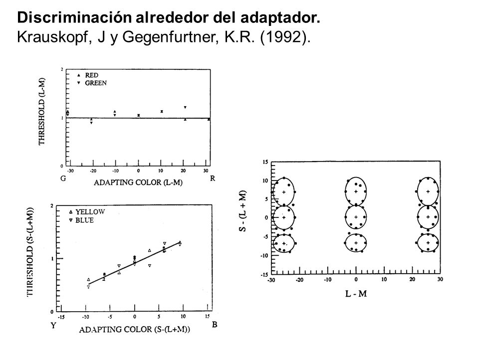 Discriminación alrededor del adaptador.