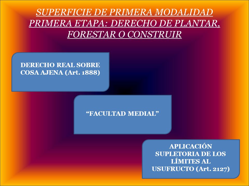 SUPERFICIE DE PRIMERA MODALIDAD PRIMERA ETAPA: DERECHO DE PLANTAR, FORESTAR O CONSTRUIR