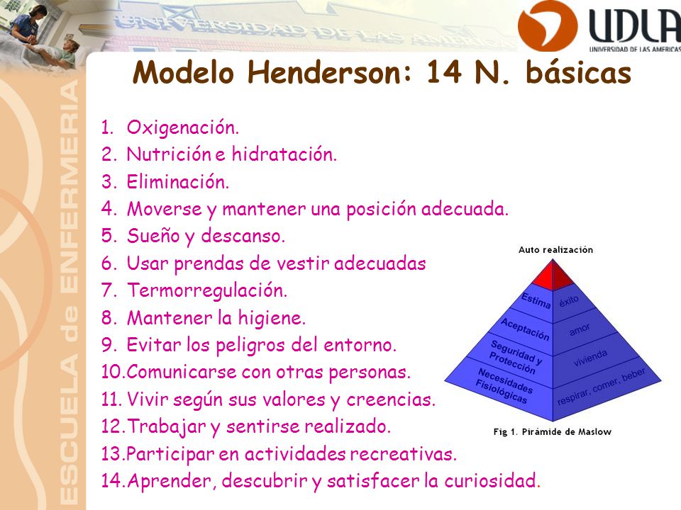 Hacer estático paz las 14 necesidades de virginia henderson pdf ...