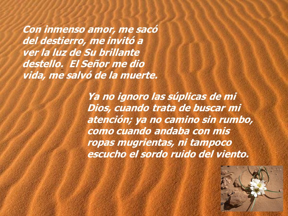 Con inmenso amor, me sacó del destierro, me invitó a ver la luz de Su brillante destello. El Señor me dio vida, me salvó de la muerte.