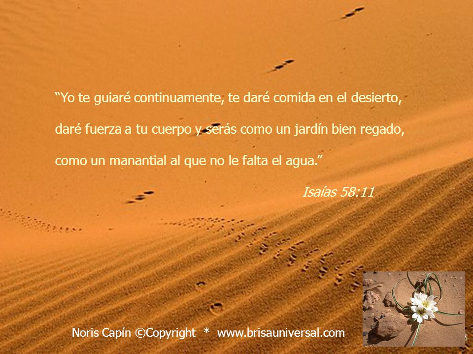 Yo te guiaré continuamente, te daré comida en el desierto,