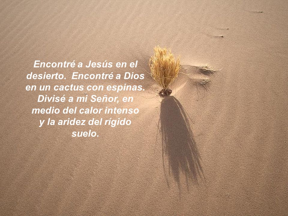 Divisé a mi Señor, en medio del calor intenso