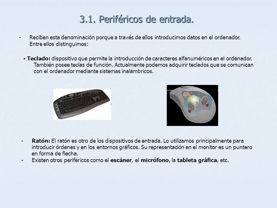 3.1. Periféricos de entrada.