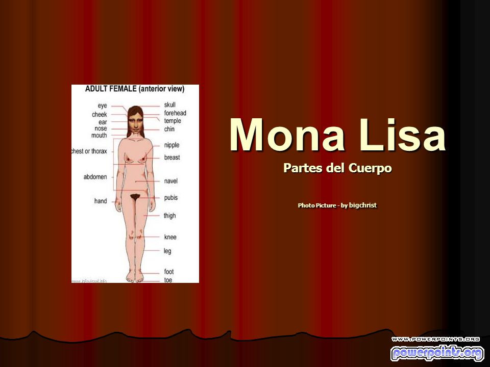 Mona Lisa Partes del Cuerpo Photo Picture - by bigchrist