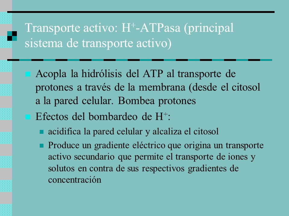 Transporte activo: H+-ATPasa (principal sistema de transporte activo)