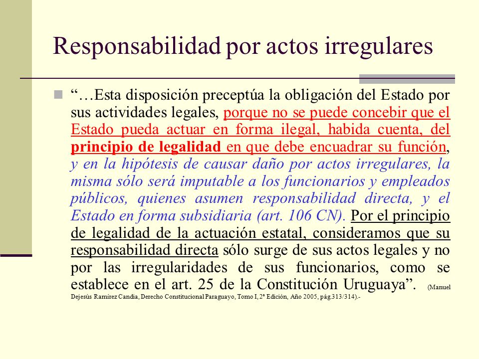 Responsabilidad por actos irregulares