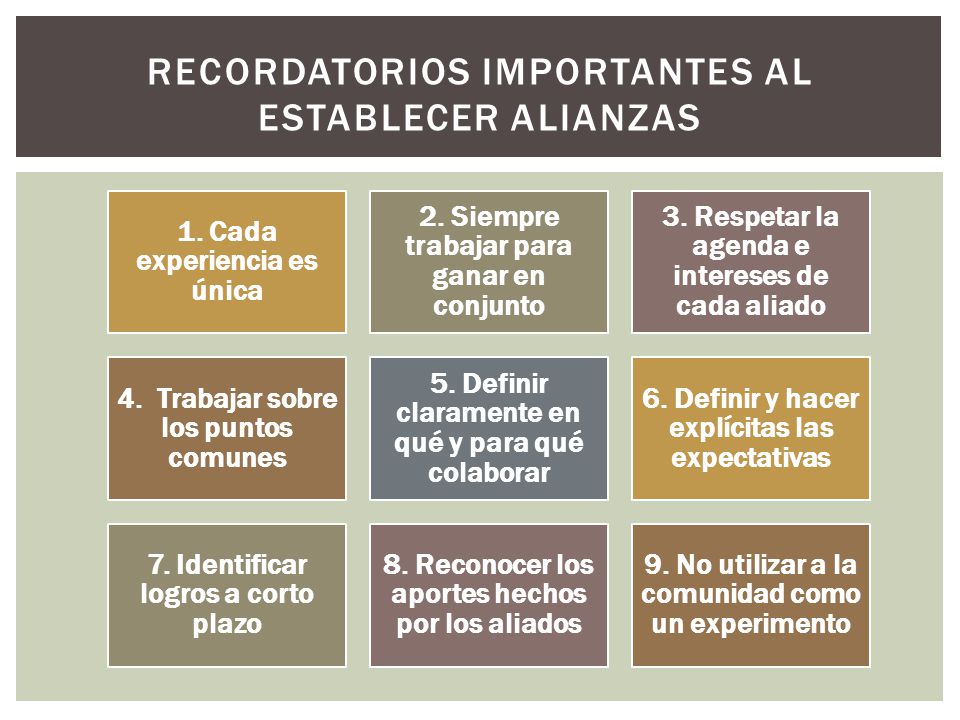 Recordatorios importantes al establecer alianzas