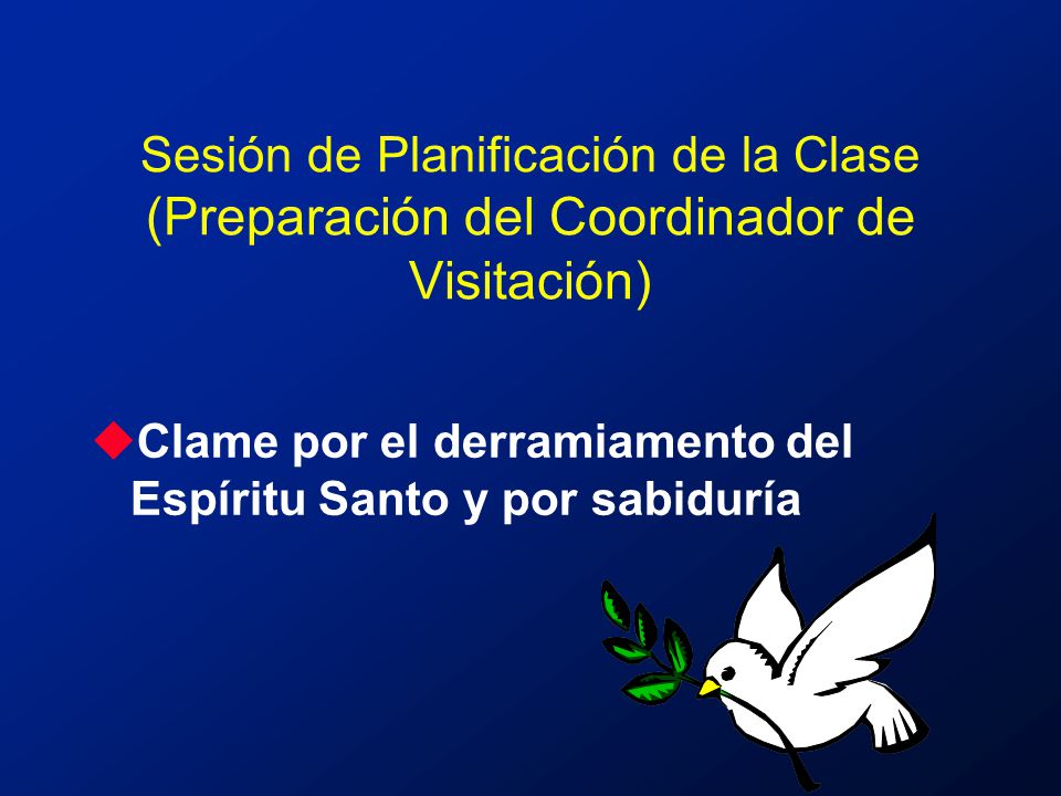 Sesión de Planificación de la Clase (Preparación del Coordinador de Visitación)