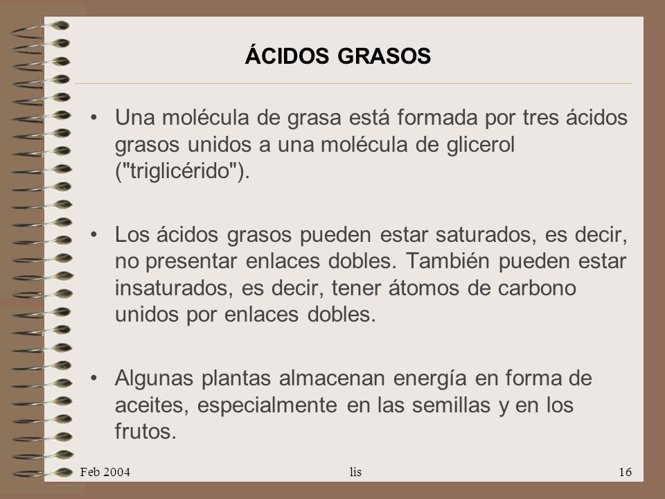 ÁCIDOS GRASOS Una molécula de grasa está formada por tres ácidos grasos unidos a una molécula de glicerol ( triglicérido ).