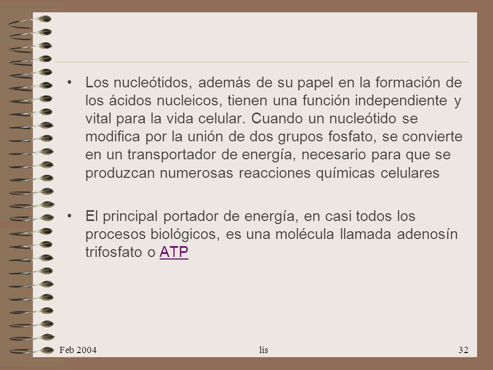 Los nucleótidos, además de su papel en la formación de los ácidos nucleicos, tienen una función independiente y vital para la vida celular. Cuando un nucleótido se modifica por la unión de dos grupos fosfato, se convierte en un transportador de energía, necesario para que se produzcan numerosas reacciones químicas celulares