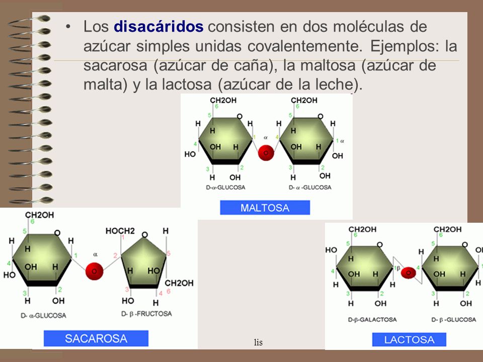 Los disacáridos consisten en dos moléculas de azúcar simples unidas covalentemente. Ejemplos: la sacarosa (azúcar de caña), la maltosa (azúcar de malta) y la lactosa (azúcar de la leche).