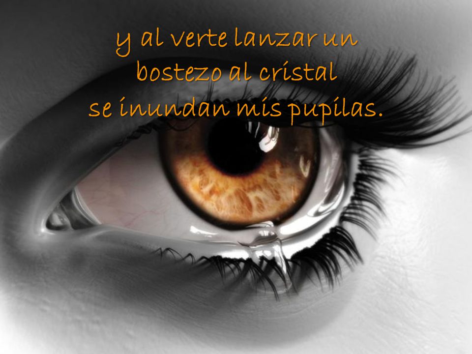 y al verte lanzar un bostezo al cristal se inundan mis pupilas.