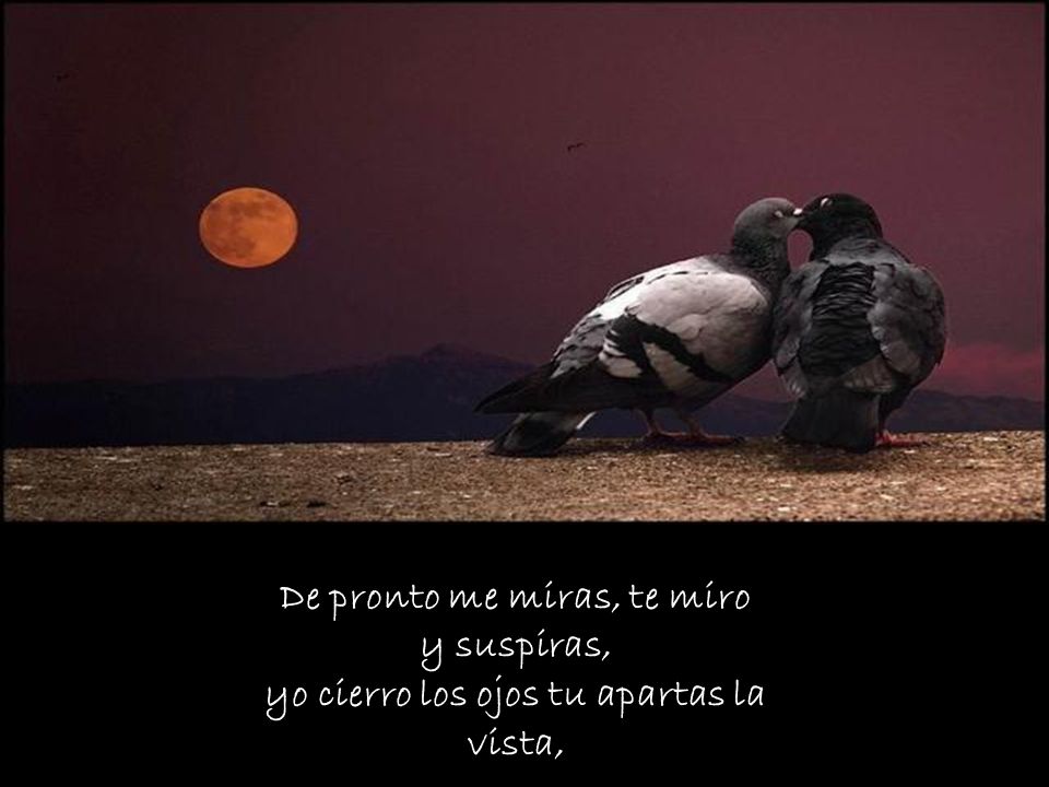 De pronto me miras, te miro y suspiras, yo cierro los ojos tu apartas la vista,