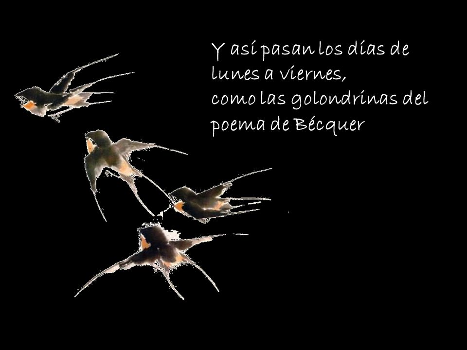 Y así pasan los días de lunes a viernes, como las golondrinas del poema de Bécquer