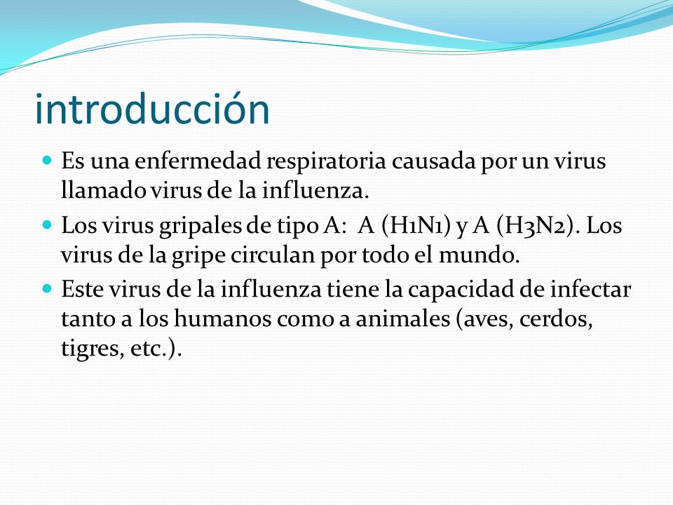introducción Es una enfermedad respiratoria causada por un virus llamado virus de la influenza.
