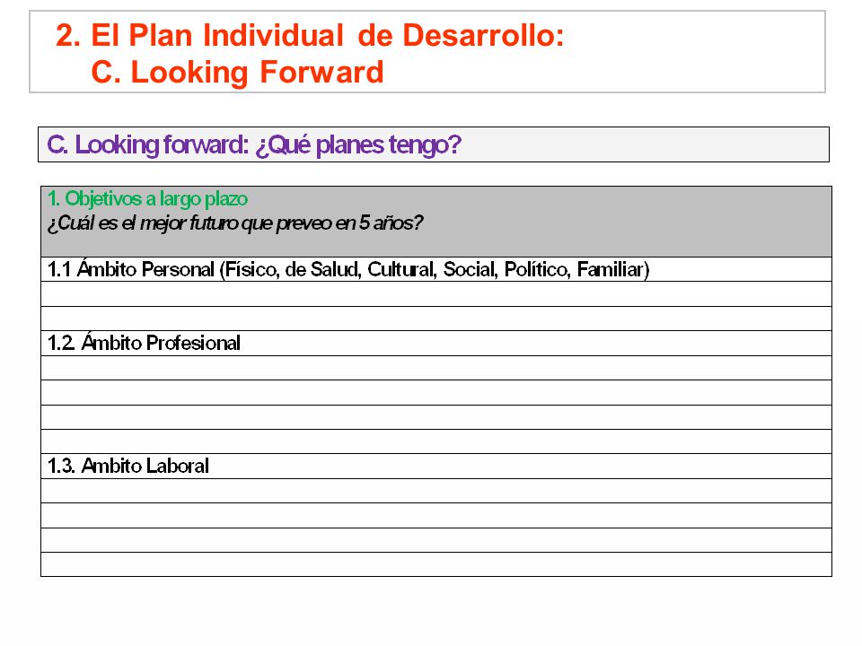 2. El Plan Individual de Desarrollo: C. Looking Forward