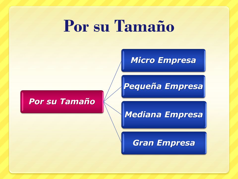 Por su Tamaño Por su Tamaño Micro Empresa Pequeña Empresa