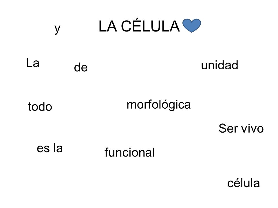 LA CÉLULA y La unidad de morfológica todo Ser vivo es la funcional