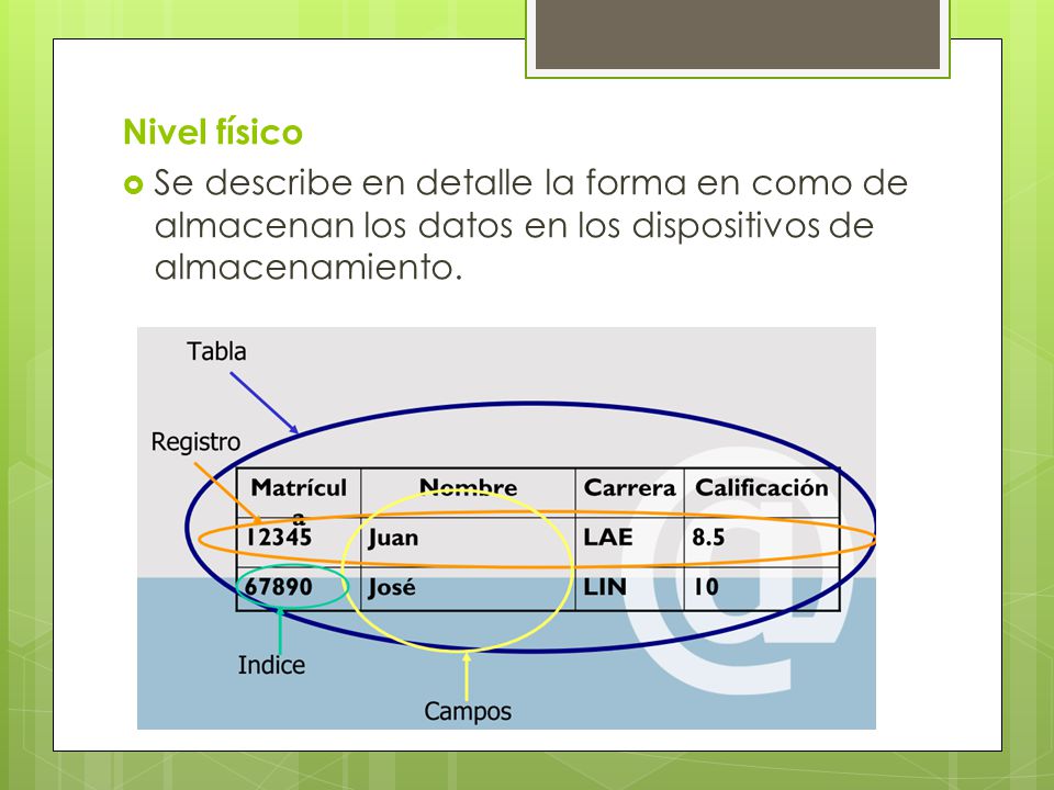 Nivel físico Se describe en detalle la forma en como de almacenan los datos en los dispositivos de almacenamiento.