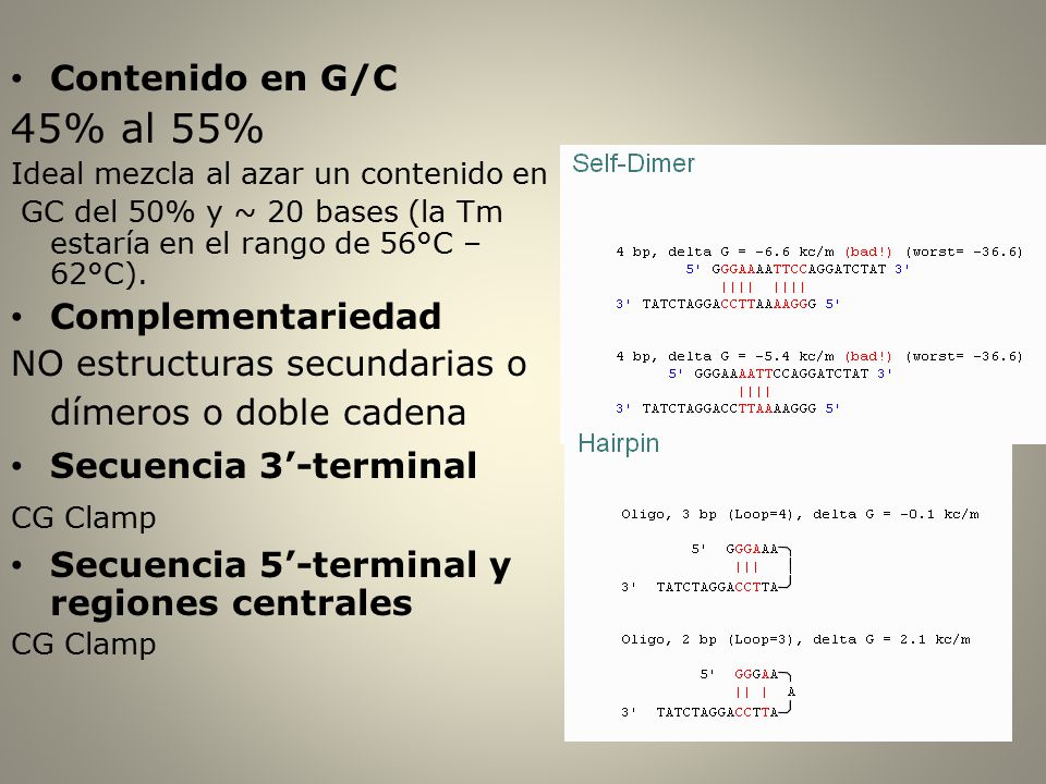 45% al 55% Contenido en G/C Complementariedad