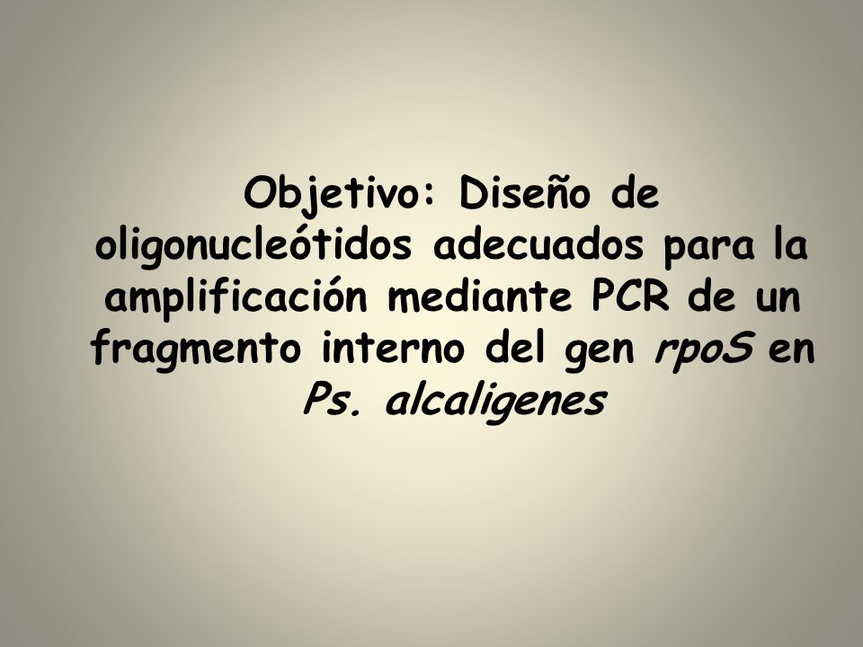 Objetivo: Diseño de oligonucleótidos adecuados para la amplificación mediante PCR de un fragmento interno del gen rpoS en Ps.
