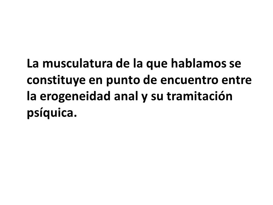 La musculatura de la que hablamos se constituye en punto de encuentro entre la erogeneidad anal y su tramitación psíquica.