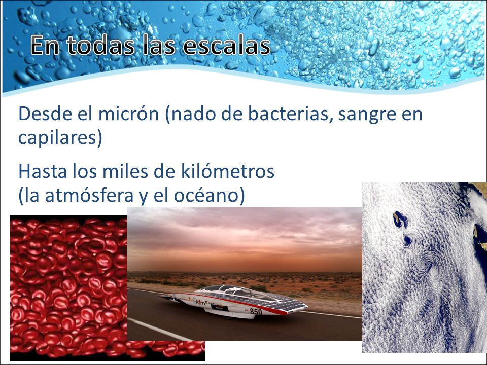 En todas las escalas Desde el micrón (nado de bacterias, sangre en capilares) Hasta los miles de kilómetros (la atmósfera y el océano)