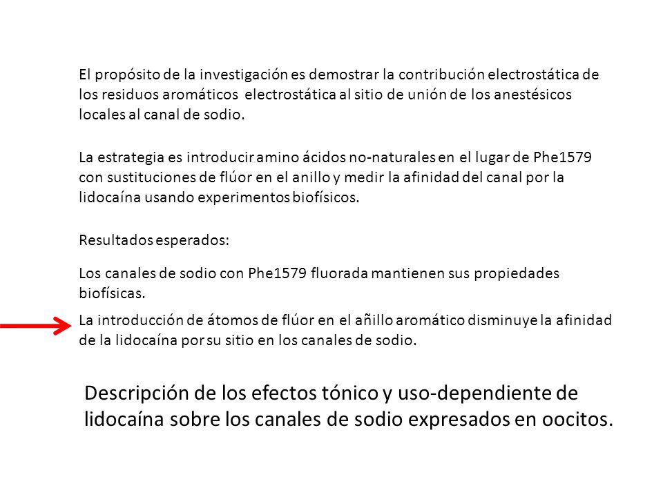 El propósito de la investigación es demostrar la contribución electrostática de los residuos aromáticos electrostática al sitio de unión de los anestésicos locales al canal de sodio.