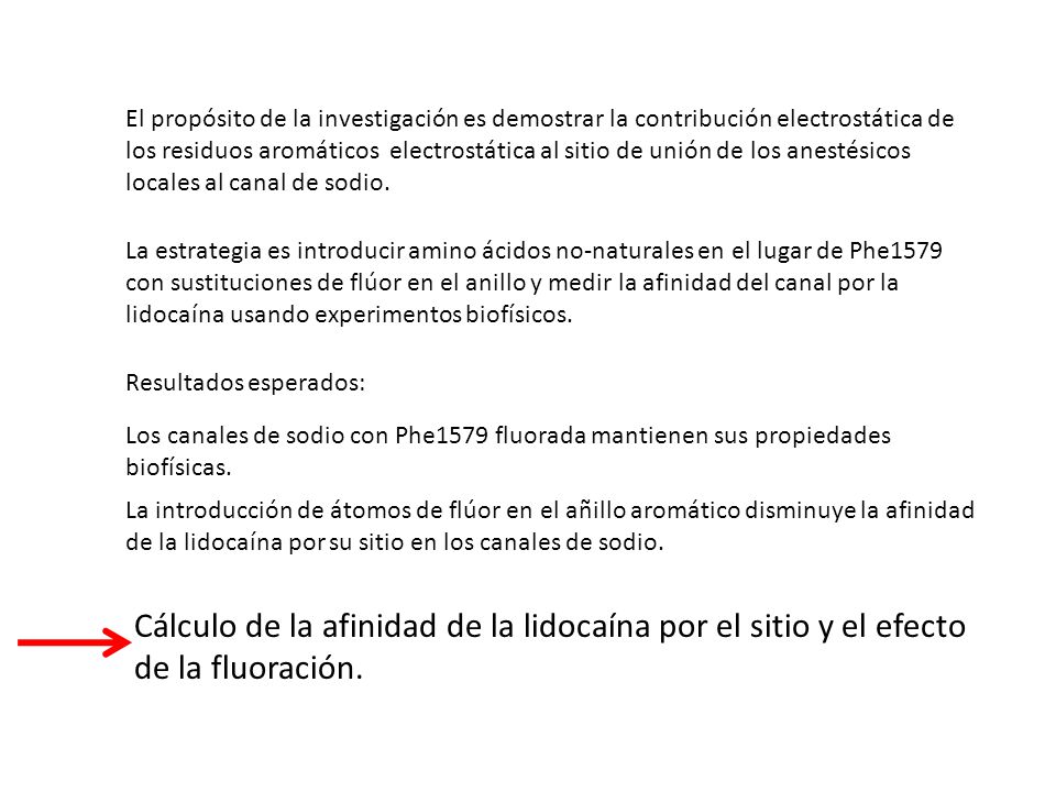 El propósito de la investigación es demostrar la contribución electrostática de los residuos aromáticos electrostática al sitio de unión de los anestésicos locales al canal de sodio.
