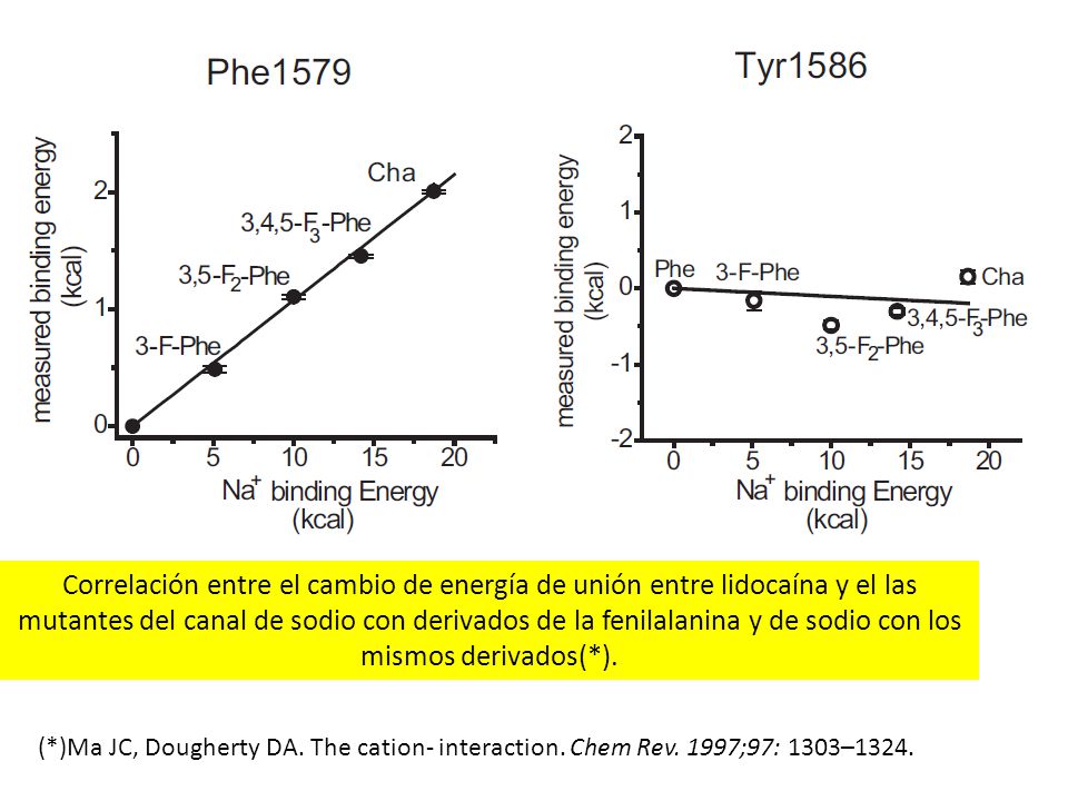 Correlación entre el cambio de energía de unión entre lidocaína y el las mutantes del canal de sodio con derivados de la fenilalanina y de sodio con los mismos derivados(*).
