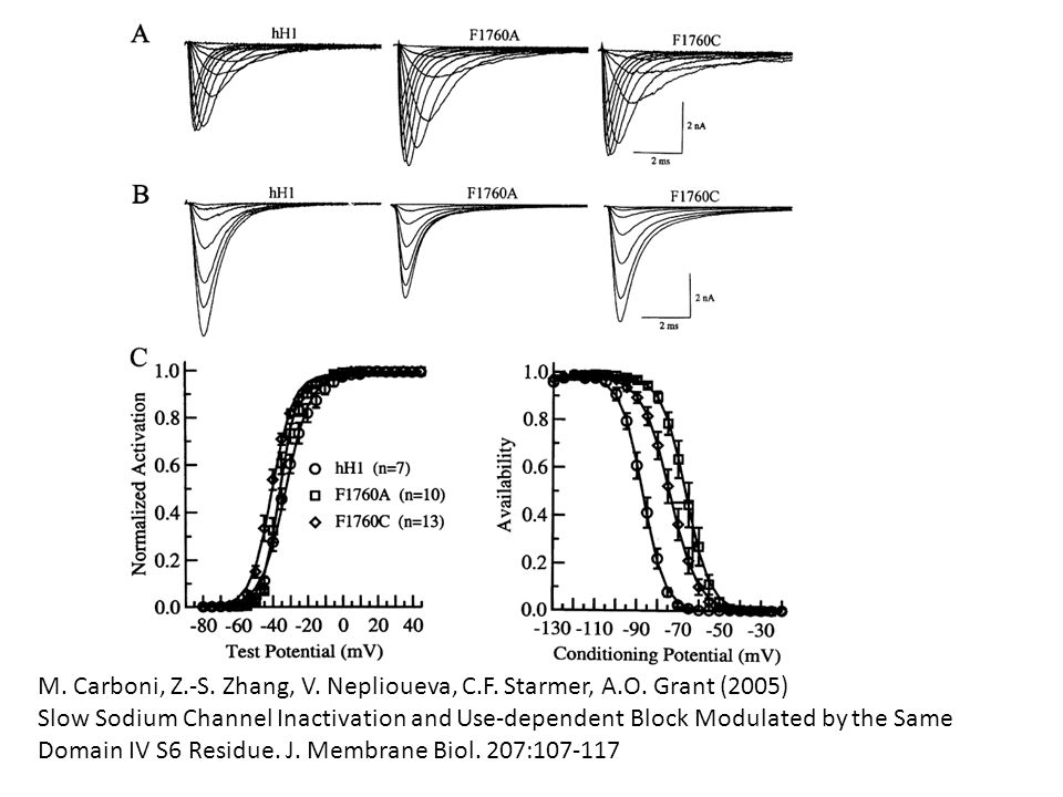 M. Carboni, Z. -S. Zhang, V. Neplioueva, C. F. Starmer, A. O