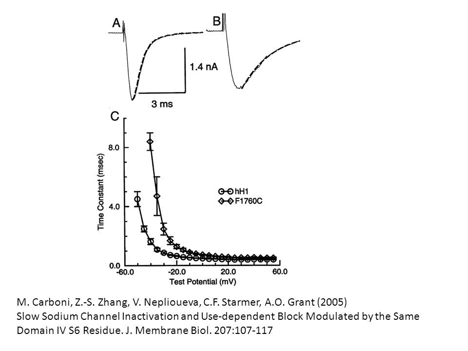 M. Carboni, Z. -S. Zhang, V. Neplioueva, C. F. Starmer, A. O